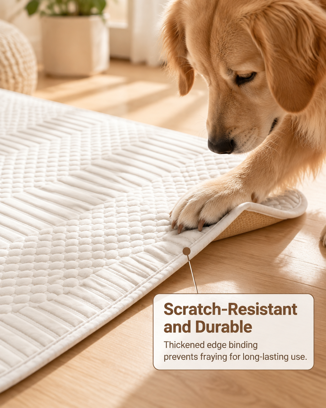 Scratch-Resistant and Durable